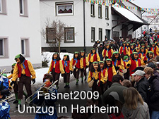 Hartheim Umzug2009